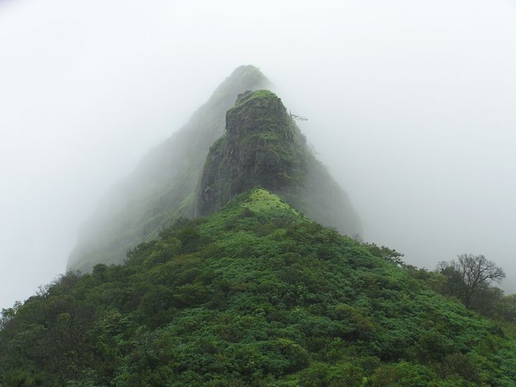 the monsoon trek to lohgad